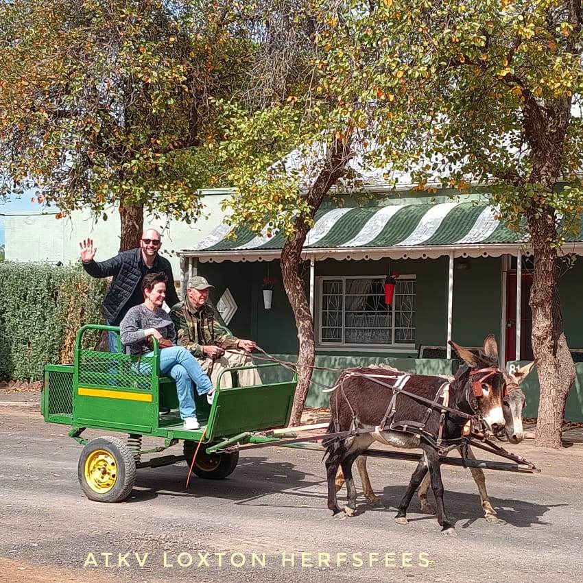 Donkey cart rides