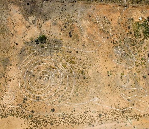 Riverine Rabbit Geoglyph